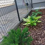 Harom Testver * Siófok