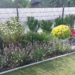 Harom Testver * Siófok