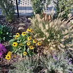 Feriehus Harom Testver Siófok