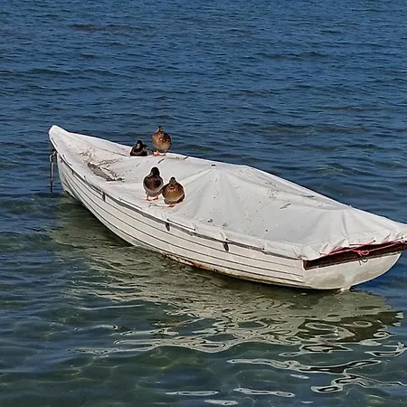 Harom Testver * Siófok