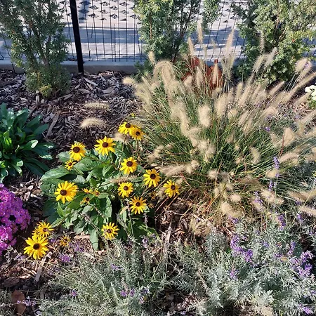 Σπίτι διακοπών Harom Testver Σίοφοκ