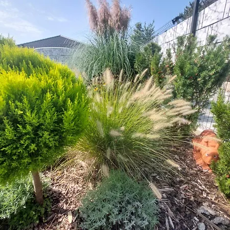 Σπίτι διακοπών Harom Testver