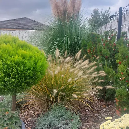 Harom Testver Σπίτι διακοπών Σίοφοκ