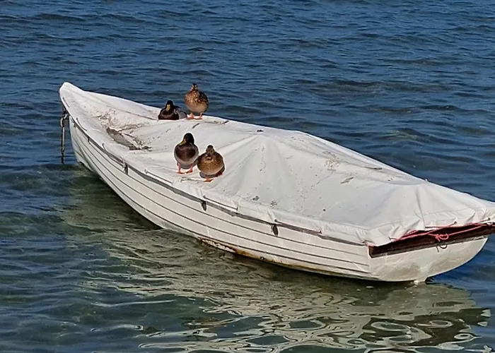 Harom Testver * Siofok