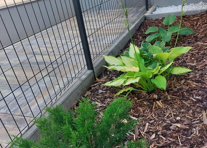 Harom Testver * シオーフォク