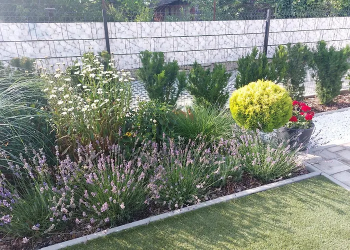 Harom Testver * Siofok