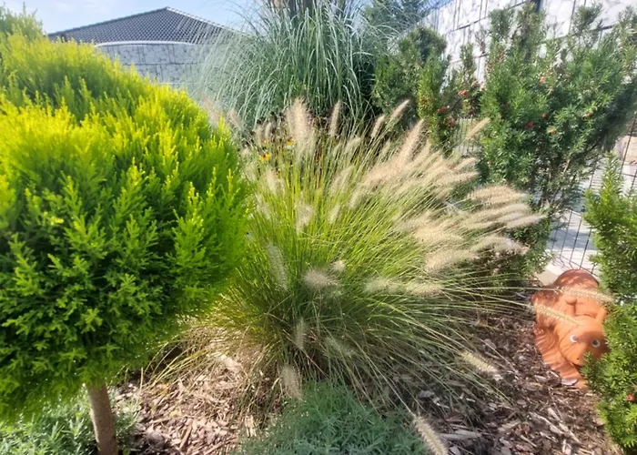 Holiday home Harom Testver